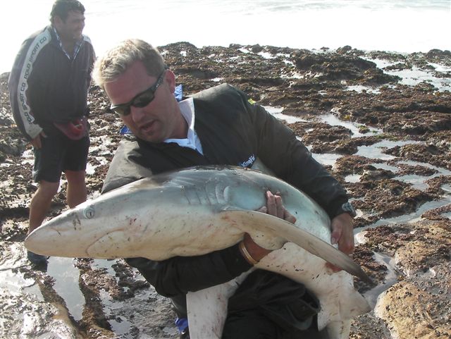 Dean Pretorius ESA and Shark