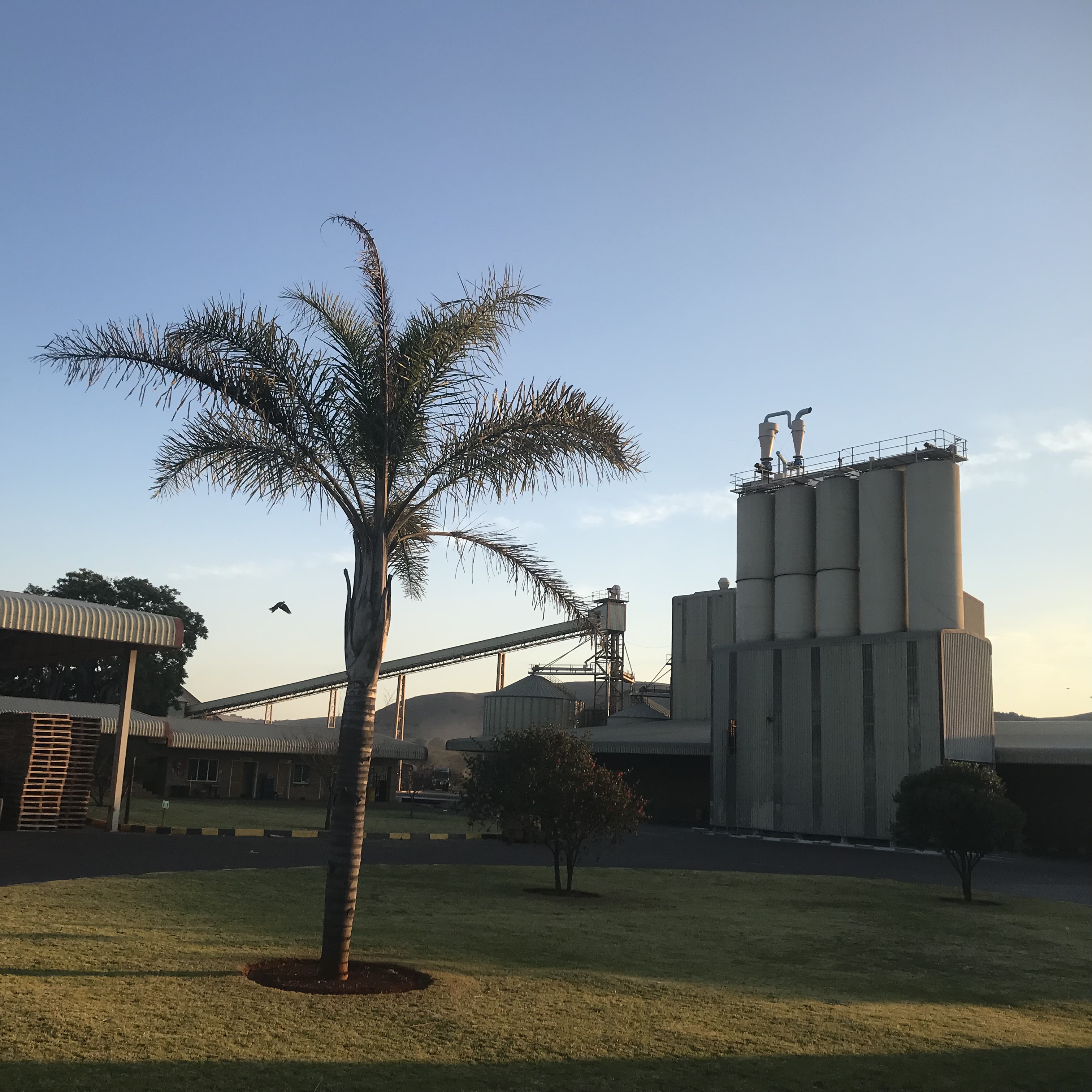 WHEAT MILLING Services , Silverlakes, , Pretoria